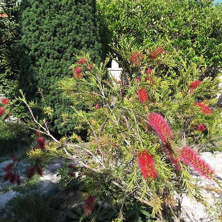 Gostinjska kuća Maria Bilicic 2